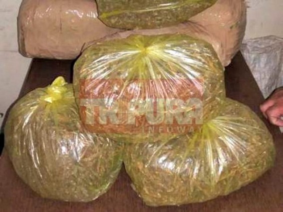 10 kilo ganja recovered 10 kilo ganja recovered